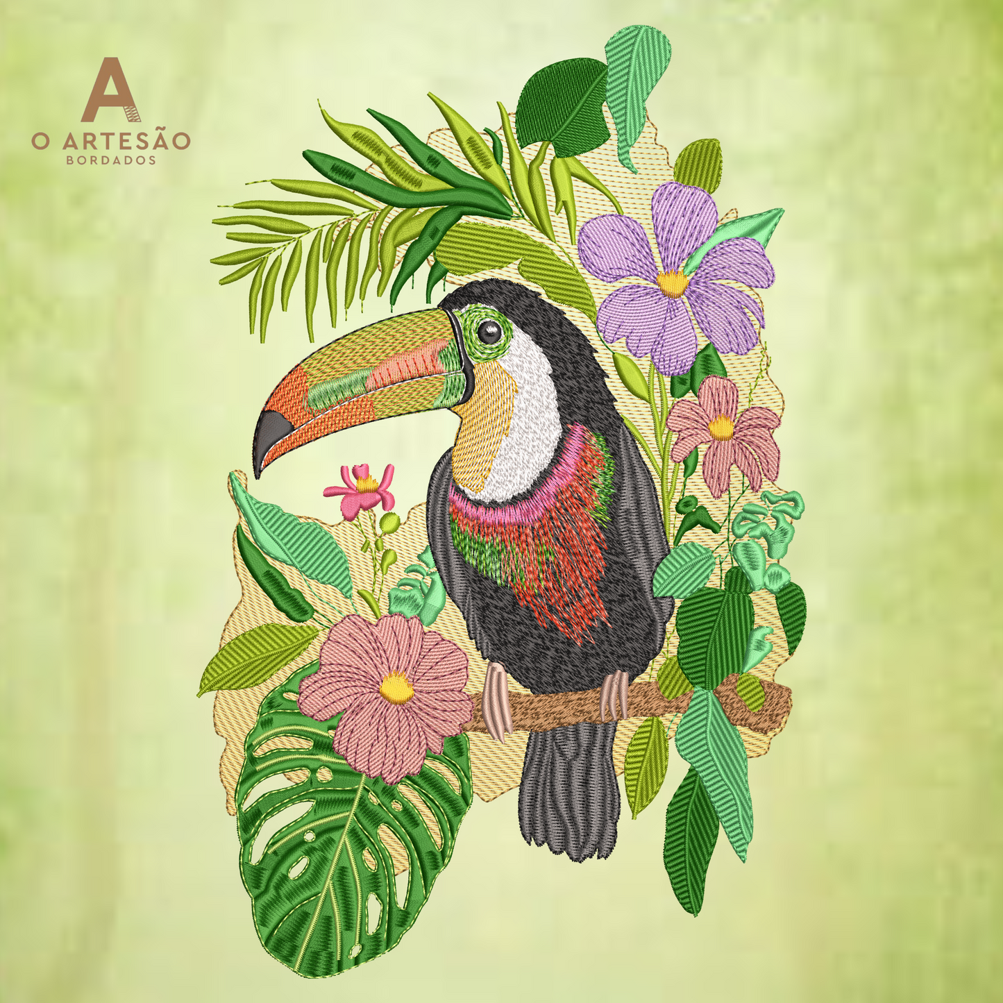 Tucano na Floresta
