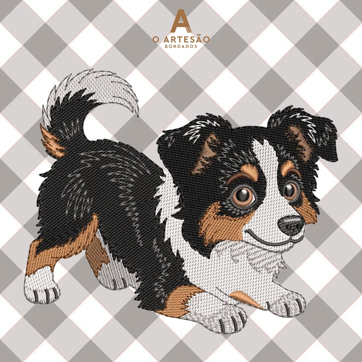 Matriz Burder Collie Puxando Pano com Fundo Cinza