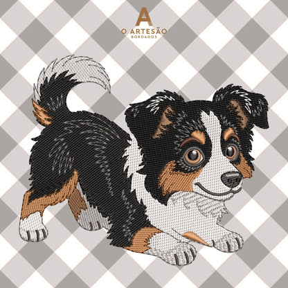 Matriz Burder Collie Puxando Pano com Fundo Cinza