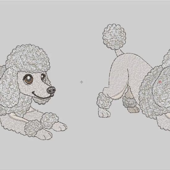 Vídeo de simulação de bordado da Matriz Poodle Fofinho Puxando Pano.