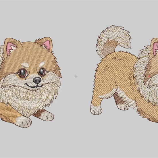 Vídeo de simulação de bordado da Coleção Pequeninos Peludos Puxando Pano.